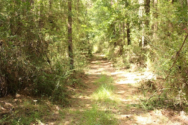 TBD 10th St, Shepherd, TX 77371 - photo 3