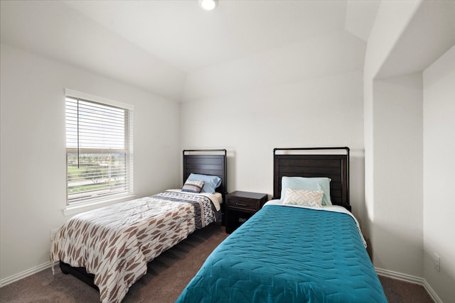 6406 Shadowbrook Hollow Trl, Katy, TX 77493 - bedroom featuring dark colored carpet and vaulted ceiling
