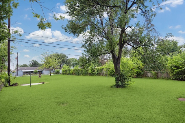 8510 Montridge Dr, Houston, TX 77055 - view of yard