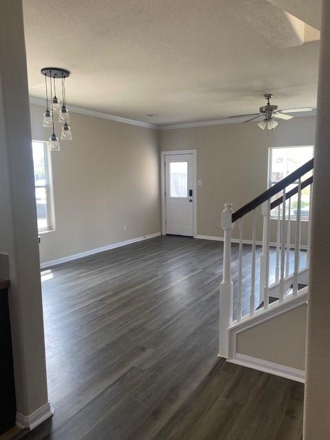 16707 Libson Falls Dr, Houston, TX 77095 - entryway featuring ornamental molding, a ceiling fan, and dark wood-style floors