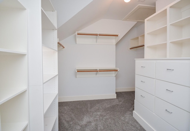 9703 Riddlewood Ln, Houston, TX 77025 - walk in closet with carpet