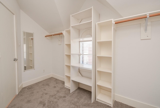 9703 Riddlewood Ln, Houston, TX 77025 - walk in closet with carpet and vaulted ceiling