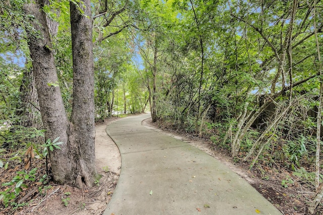131 Haileys Run, Montgomery, TX 77316 - photo 43