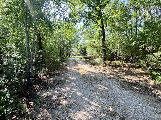 387 Hackberry Dr, Onalaska, TX 77360 - view of dirt / gravel road with a forest view