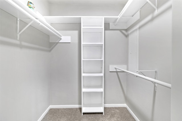387 Hackberry Dr, Onalaska, TX 77360 - spacious closet with carpet flooring