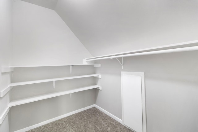 387 Hackberry Dr, Onalaska, TX 77360 - spacious closet with vaulted ceiling and carpet floors