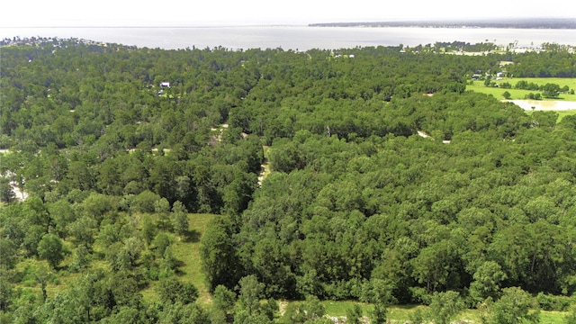 387 Hackberry Dr, Onalaska, TX 77360 - drone / aerial view of a large body of water and a forest