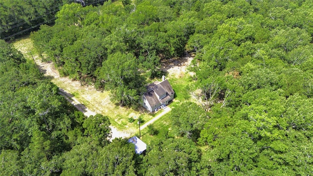 387 Hackberry Dr, Onalaska, TX 77360 - drone / aerial view