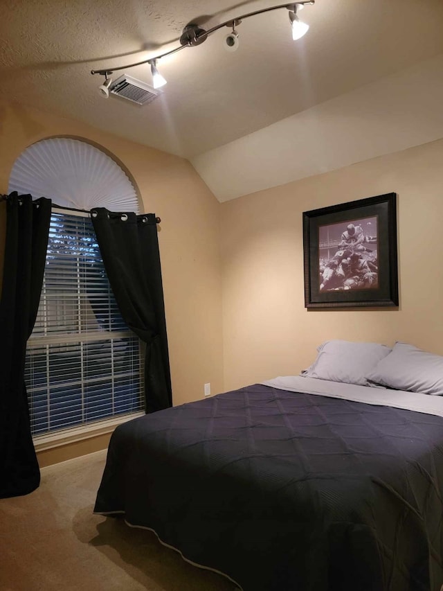 7922 Scenic Canyon Ln W, Houston, TX 77095 - carpeted bedroom with vaulted ceiling and track lighting
