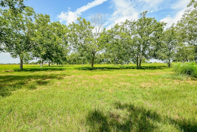 1478 County Road 303, Edna, TX 77957 - photo 31
