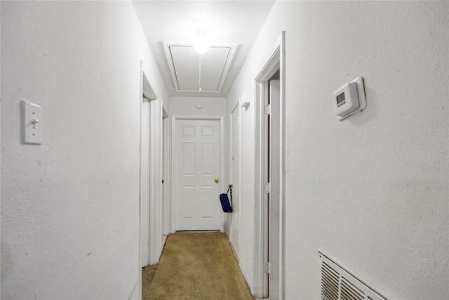 4115 Trail Lake Dr, Houston, TX 77045 - hallway with light carpet and attic access