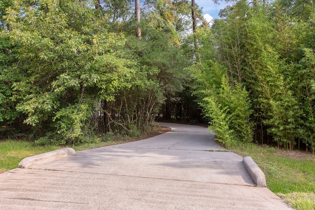 19906 Bayberry Creek Dr, Magnolia, TX 77355 - photo 33