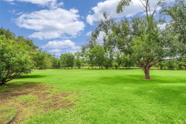 7027 Kurt Dr, Brenham, TX 77833 - view of green lawn