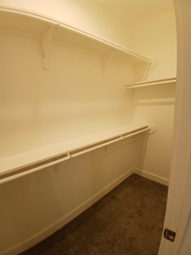 3333 Kilgore St, Houston, TX 77021 - spacious closet with dark carpet