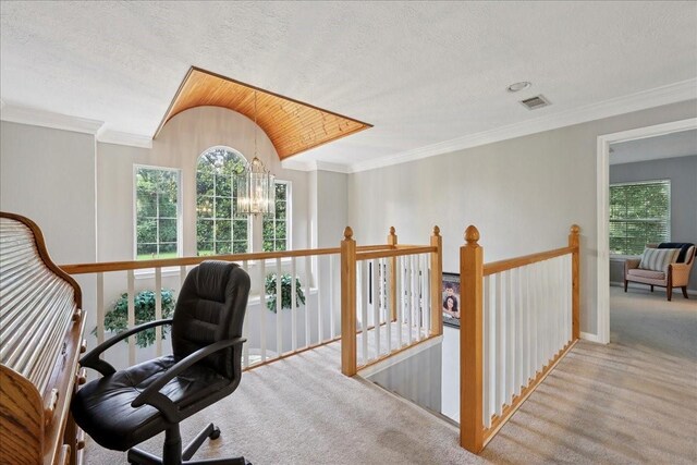 1000 Forsythia Dr, Village Mills, TX 77625