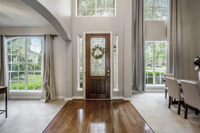 16407 Bogan Flats Ct, Houston, TX 77095 - entryway with arched walkways, healthy amount of natural light, wood finished floors, and a high ceiling