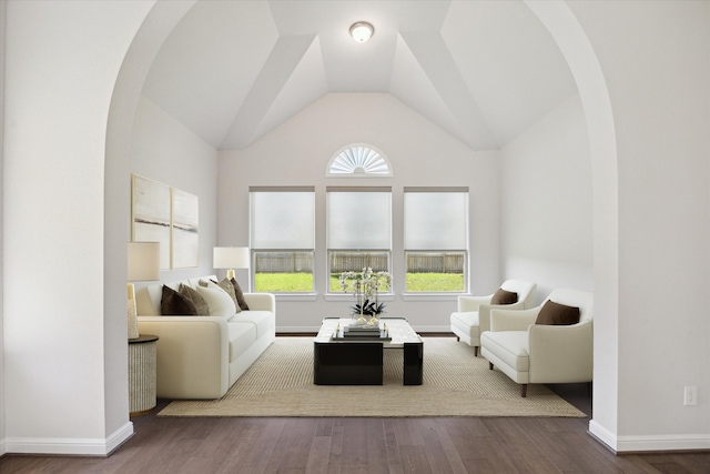 27403 Laurel Bay Ct, Katy, TX 77494 - living room featuring arched walkways, plenty of natural light, wood finished floors, and vaulted ceiling