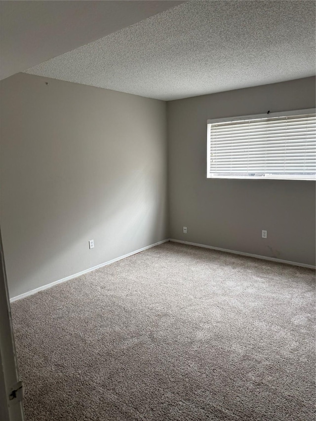 11609 Chimney Rock Rd Unit B, Houston, TX 77035 - photo 7