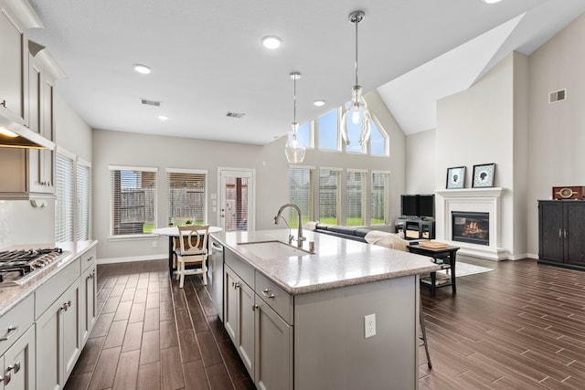 6303 Grand Drift Ct, Katy, TX 77494 - kitchen featuring stainless steel appliances, plenty of natural light, a glass covered fireplace, wood tiled floors, and recessed lighting