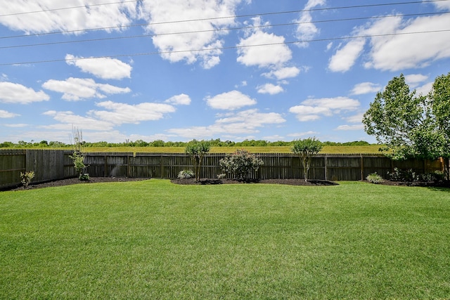 8706 Stowe Creek Ln, Missouri City, TX 77459 - view of fenced backyard
