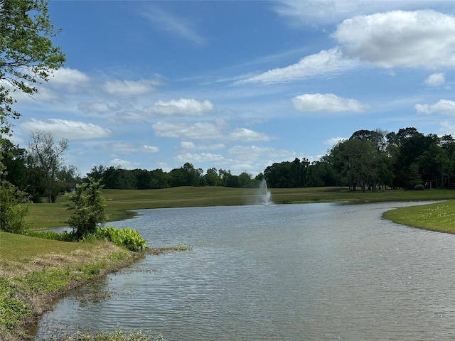 8706 Stowe Creek Ln, Missouri City, TX 77459 - water view with a tree filled landscape