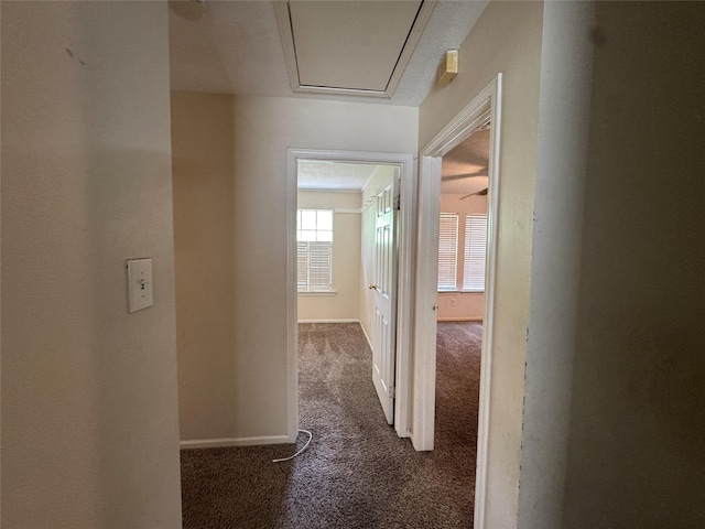 3 Ridgeline Ct, The Woodlands, TX 77381 - corridor featuring carpet floors and baseboards