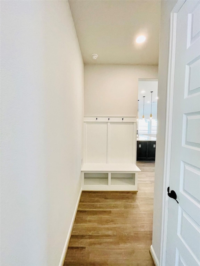669 Cape Capri Dr, Katy, TX 77493 - corridor with wood finished floors and baseboards