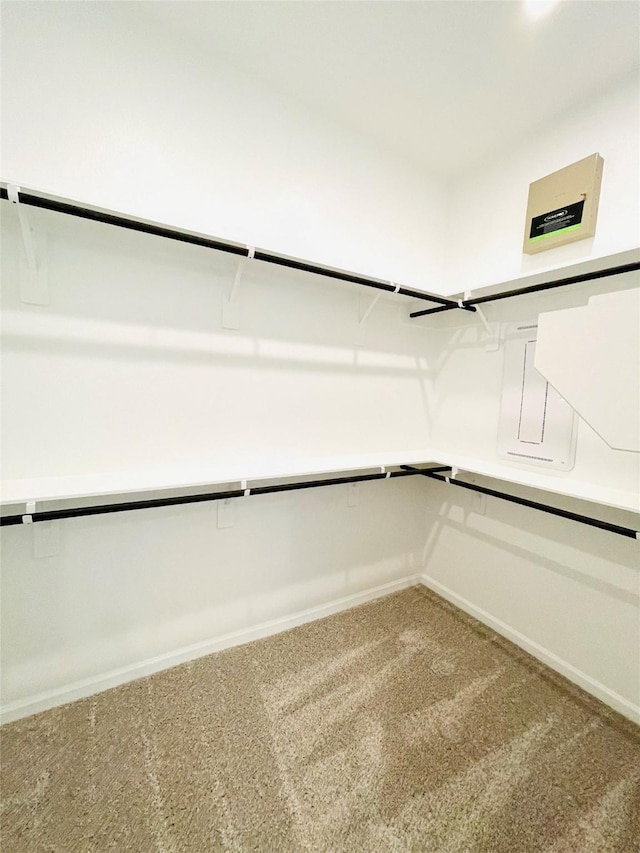 669 Cape Capri Dr, Katy, TX 77493 - spacious closet with carpet flooring