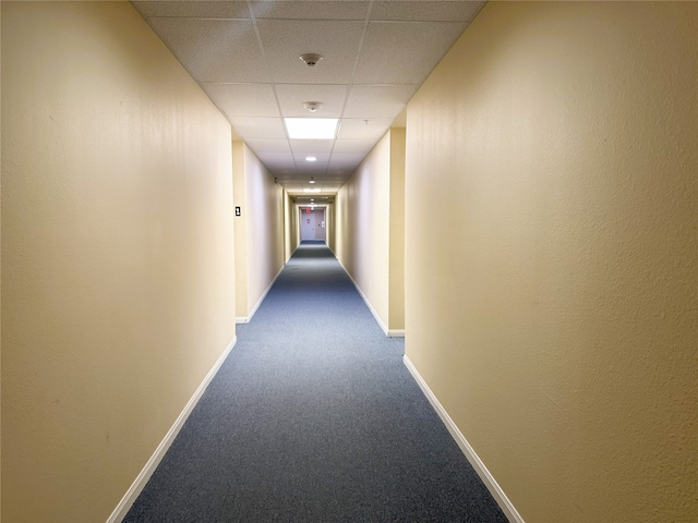 8415 Hearth Dr Unit 36, Houston, TX 77054 - hall featuring dark carpet and a paneled ceiling