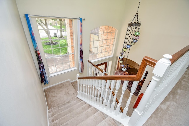 1006 Pointe Loma Dr, Sugar Land, TX 77479 - staircase with carpet flooring