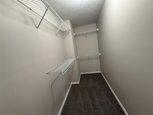 2325 Shady Tree Ln, Conroe, TX 77301 - spacious closet with carpet flooring