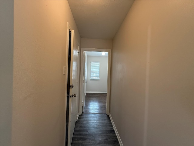 2325 Shady Tree Ln, Conroe, TX 77301 - hallway featuring dark wood finished floors and baseboards