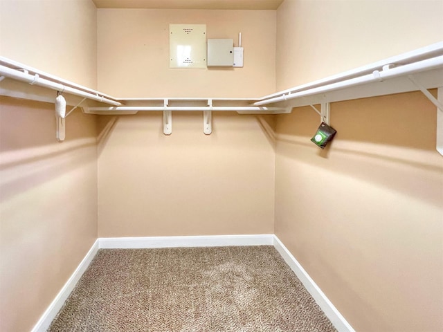 2325 Hutchins St, Houston, TX 77004 - walk in closet featuring carpet