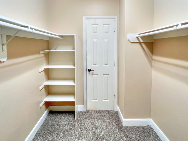 2325 Hutchins St, Houston, TX 77004 - spacious closet with carpet