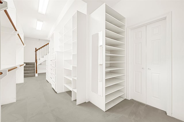 16506 Emilia Ct, Spring, TX 77379 - spacious closet with carpet floors