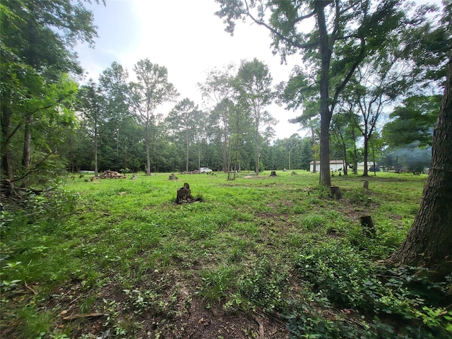 ID54313 Ridgecrest Cir, Coldspring, TX 77331 - photo 5