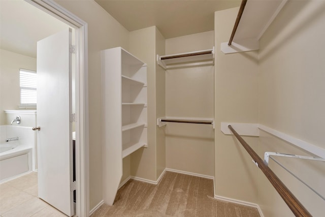12807 Maybank Shores Ct, Houston, TX 77045 - walk in closet with light colored carpet