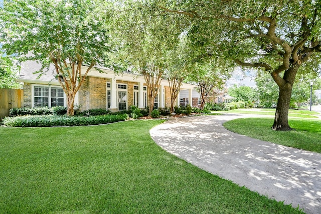 2442 Chimney Rock Rd, Houston, TX 77056 - view of property hidden behind natural elements with brick siding, a front yard, and curved driveway