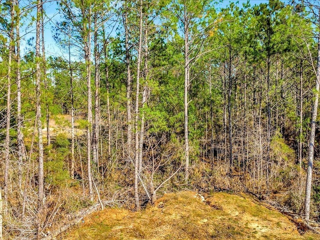 9871 Fm 256 E, Colmesneil, TX 75938 - photo 18