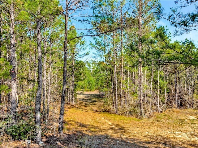 9871 Fm 256 E, Colmesneil, TX 75938 - photo 19