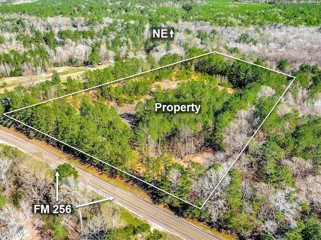 9871 Fm 256 E, Colmesneil, TX 75938 - photo 2