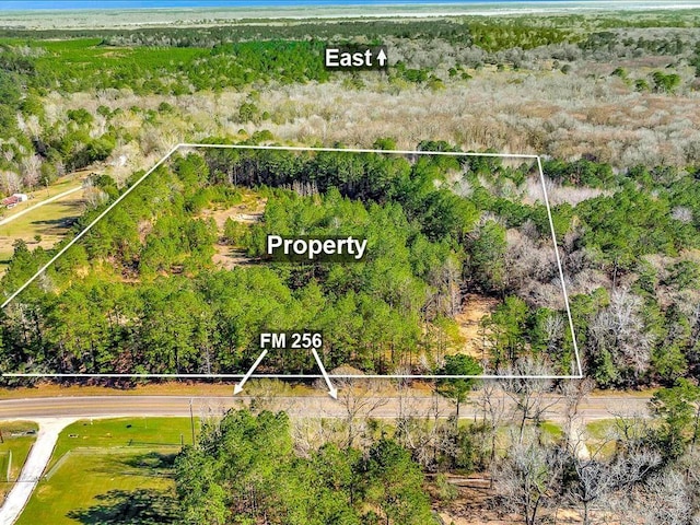 9871 Fm 256 E, Colmesneil, TX 75938 - photo 4