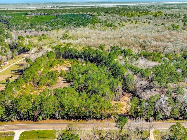 9871 Fm 256 E, Colmesneil, TX 75938 - photo 5