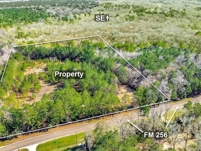9871 Fm 256 E, Colmesneil, TX 75938 - photo 6