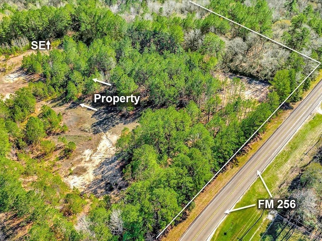 9871 Fm 256 E, Colmesneil, TX 75938 - photo 7