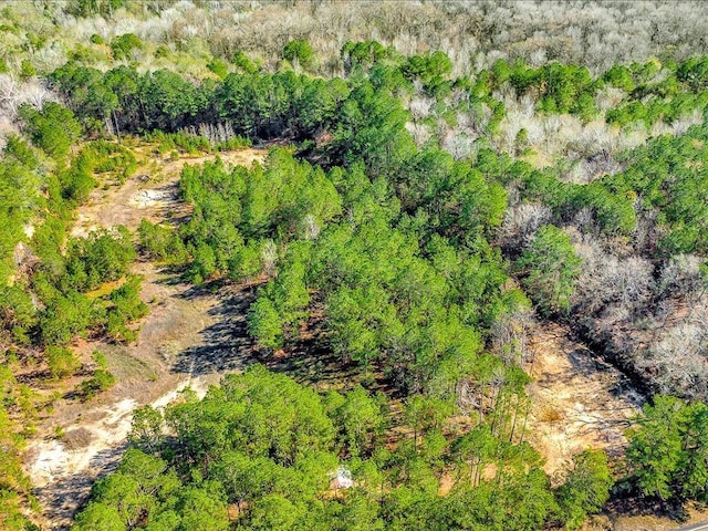 9871 Fm 256 E, Colmesneil, TX 75938 - photo 8