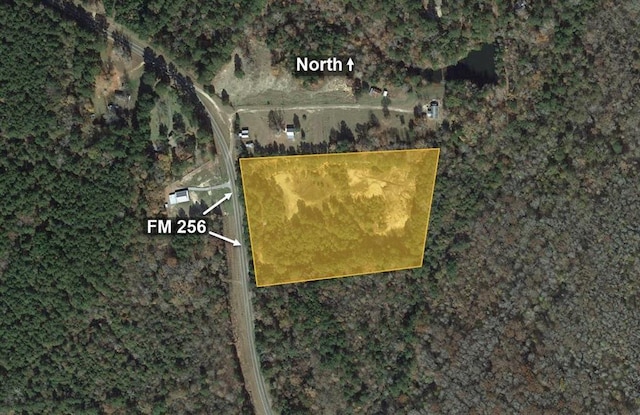 9871 Fm 256 E, Colmesneil, TX 75938 - photo 11