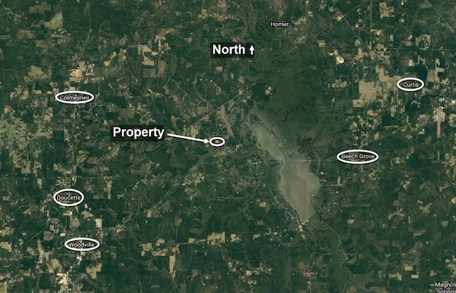 9871 Fm 256 E, Colmesneil, TX 75938 - photo 13