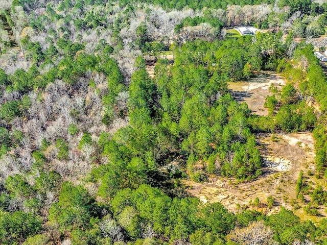 9871 Fm 256 E, Colmesneil, TX 75938 - photo 16