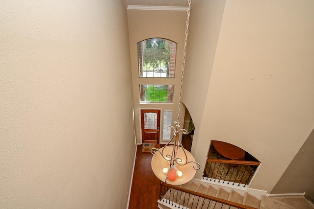 21211 Dover Park Ln, Katy, TX 77450 - foyer featuring crown molding and a high ceiling
